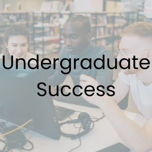 Undergraduate Success written over a photo of students in a library in front of a computer